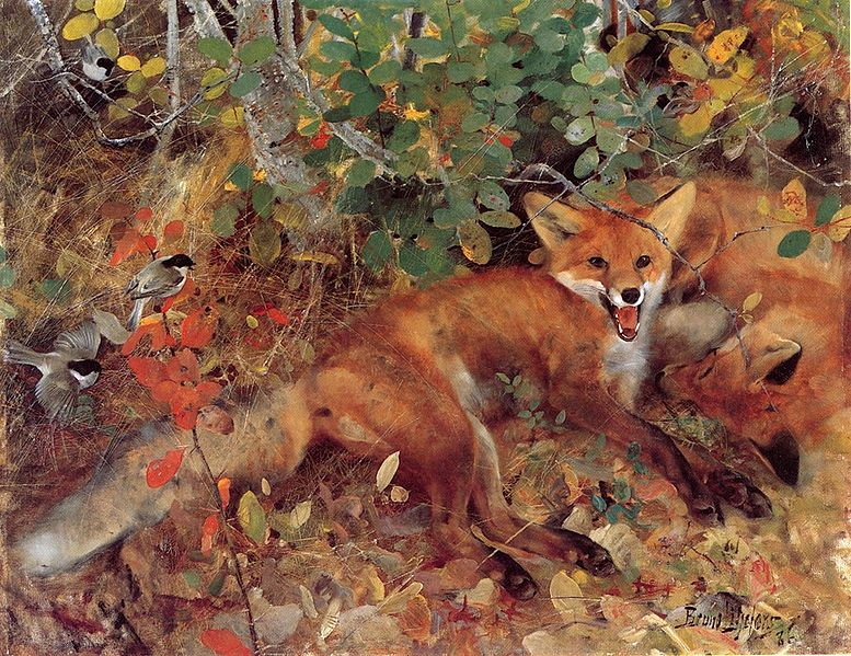 Foxes